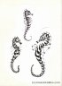 drawing_600m_06-1 