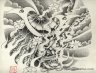drawing_800_07m-1 